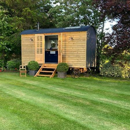 Bannfield Shepherds Hut Ballymoney Ngoại thất bức ảnh